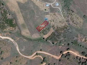 Doğanın Kalbinde Huzur Sizi Bekliyor! 