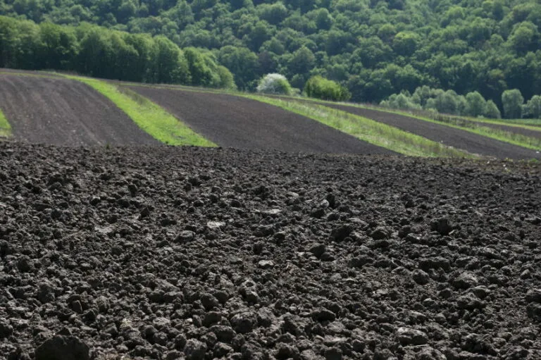 Satılık Çok Hesaplı Tarla Konya-Hadim- Selahattin  köyünde.
